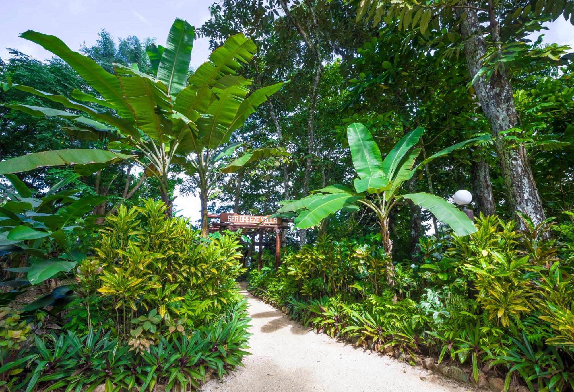 Savasi Island Resort Savusavu Bilik gambar