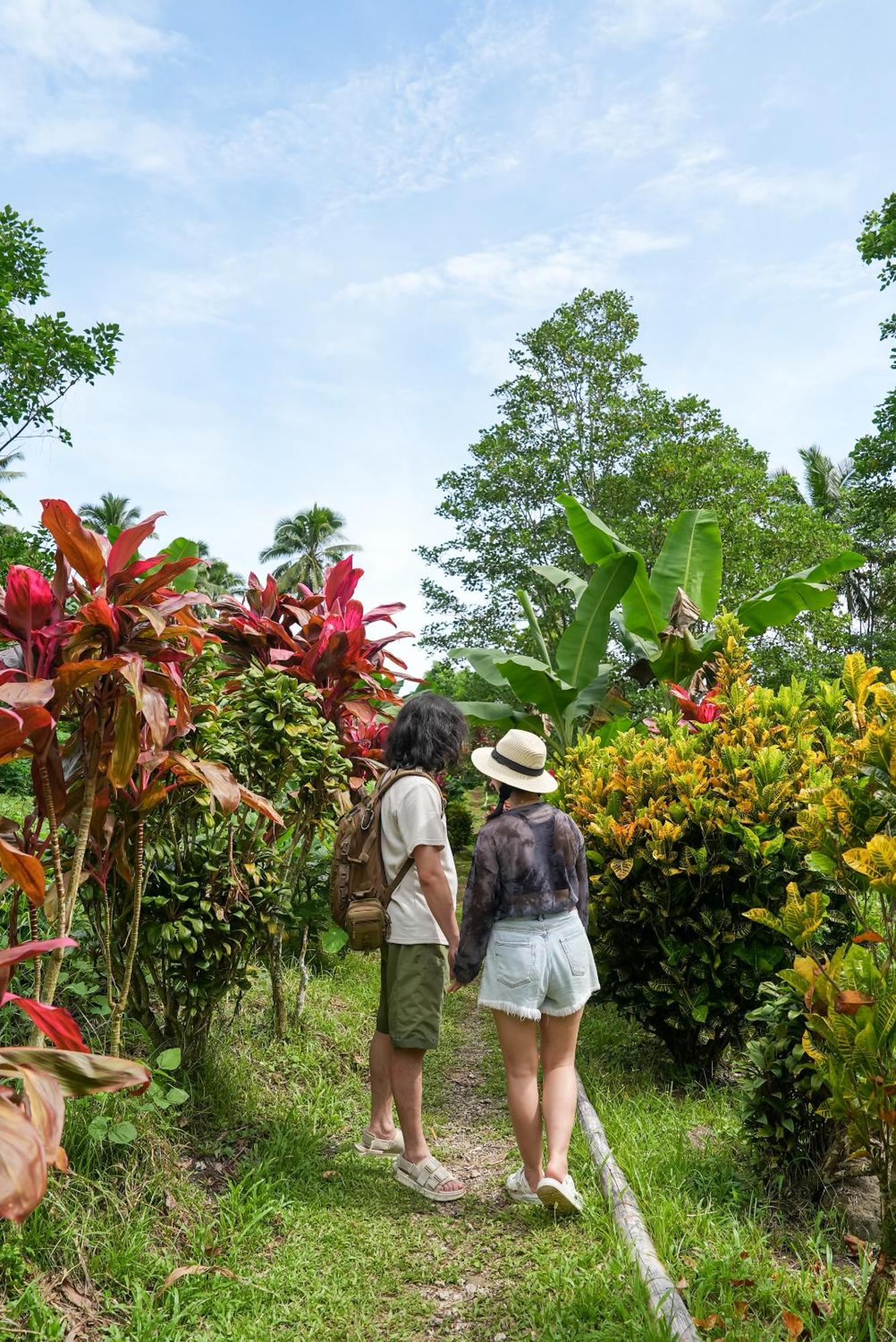 Savasi Island Resort Savusavu Luaran gambar